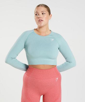 Dámské Oříznuté Topy Gymshark Vital Seamless 2.0 Blankyt | CZ 3662PJJ